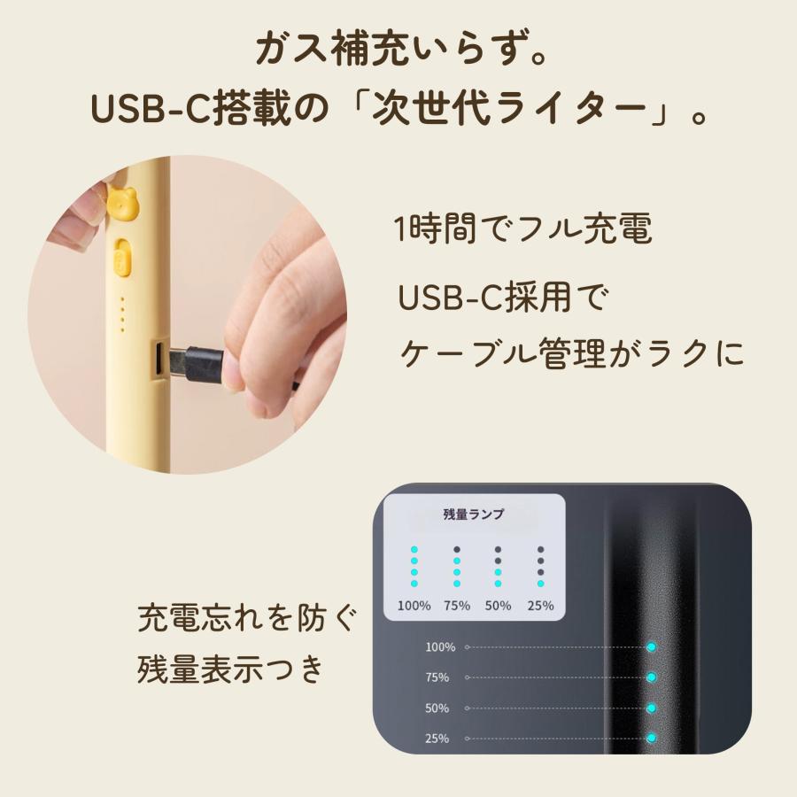 電子ライター USB充電式 かわいい シリーズ アニマル マッチ棒 ドッグ ベア 熊 犬 おしゃれ かわいい プラズマ | ブランド登録なし | 07