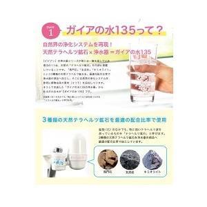 ガイアの水135 ガイアライトボトル 500ml 交換用カートリッジセット 国内正規品 4種から1個選べる ビビアン プッシュ型浄水ボトル | ガイアの水135 | 06