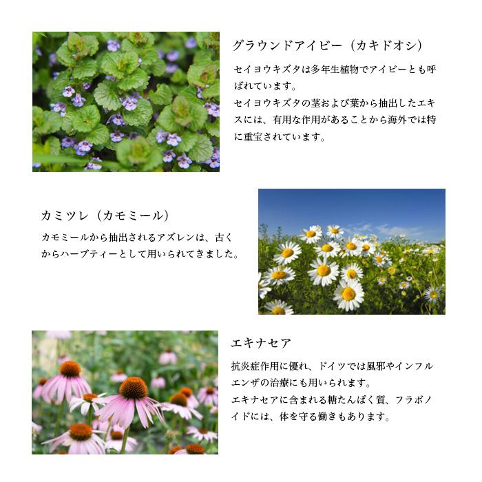 だいじょうぶなもの 百年はちみつのど飴 レザーウッドハニー + ハーブキャンディ 51g(14粒入り) 選べる2個セット 無添加 | だいじょうぶなもの | 09