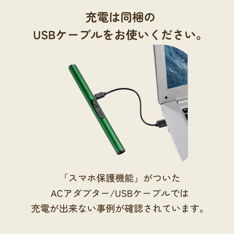 電子ライター USB充電 伸縮式 アルミ 170mm プラズマ ライター USB充電式 点火 無炎 防風 小型 軽量 タイプC キャンドル | ブランド登録なし | 10