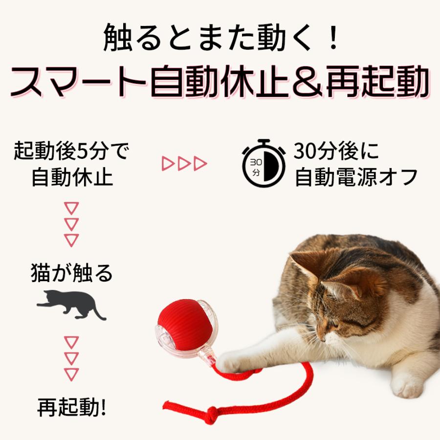 猫のおもちゃ にゃごのしっぽ 電動ボール 自動 一人遊び 3モード USB充電 光る ネコ 犬 小型犬 しっぽ 取り外し 洗える | ブランド登録なし | 05