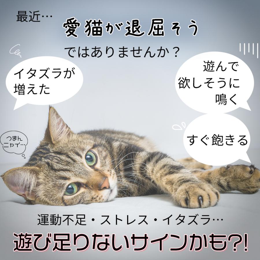猫のおもちゃ にゃごのしっぽ 電動ボール 2個セット 自動 一人遊び 3モード USB充電 光る ネコ 犬 小型犬 しっぽ 取り外し 洗える | ブランド登録なし | 01