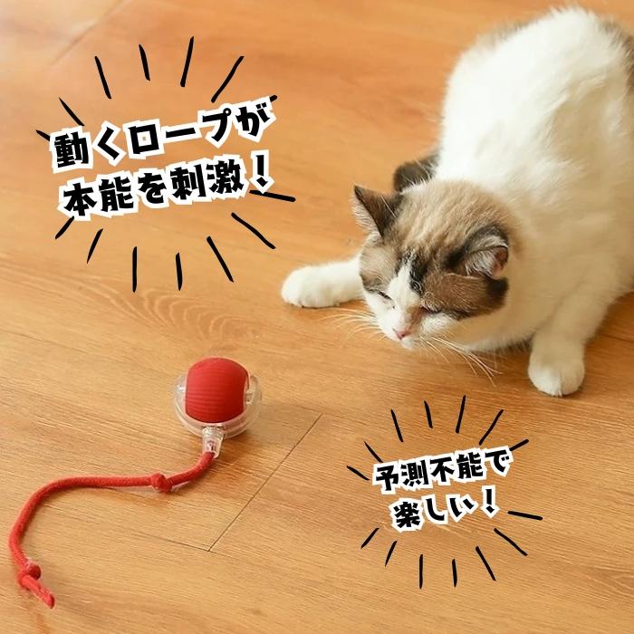 猫のおもちゃ にゃごのしっぽ 電動ボール 2個セット 自動 一人遊び 3モード USB充電 光る ネコ 犬 小型犬 しっぽ 取り外し 洗える | ブランド登録なし | 03