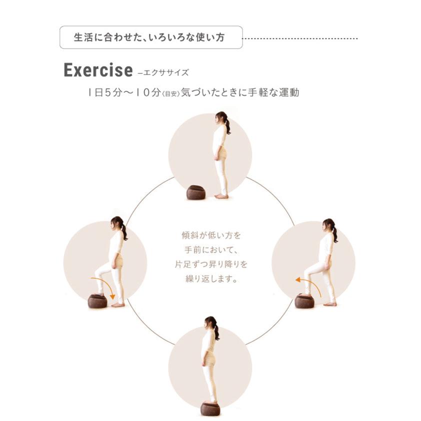 プロイデア スリムルームステッパー 3種から1個選べる PROIDEA 踏み台昇降 エクササイズ 有酸素運動 ながらエクササイズ | PROIDEA | 06
