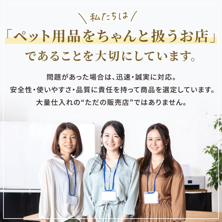 伸縮リード ワンダフルリード 5m 強力LEDライト搭載 USB-C 充電式 ストラップ付き 光る 犬用 USB-C リード 伸縮 巻き取り 伸びる | ブランド登録なし | 07