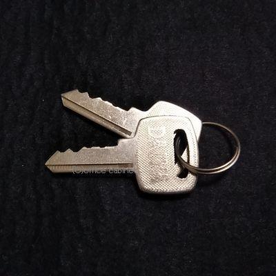 錠前】アルプス（ALPS） ロッカー錠 施錠表示付 錠前セット 鍵2本付き