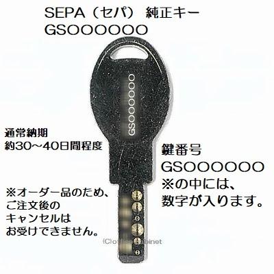 送料無料【合鍵】SEPA（セパ） GS 印 建物・玄関 鍵 純正キー