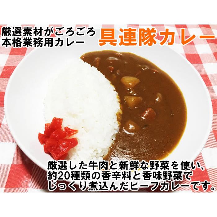 大人の甘口カレー（ビーフカレー）＆ヘイワ 具連隊カレー 計3人前詰め合わせセット｜cacc｜07