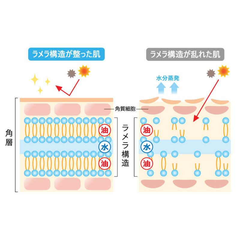 CAC化粧品 【新製品】CAC化粧品 ボディジェル 200ml (サンプル2包