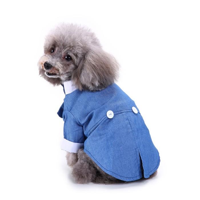 犬服 小型犬用 タキシード フォーマル 結婚式 イベント ブラック 誕生日 大きいサイズ 蝶ネクタイ お散歩 かっこいい Glf04 癒し館 通販 Yahoo ショッピング