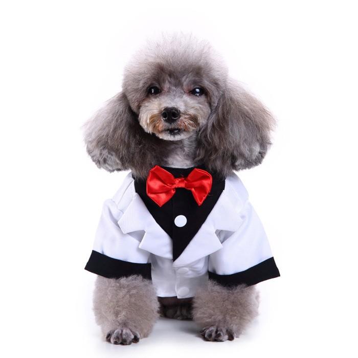 犬服 小型犬用 タキシード フォーマル 結婚式 イベント ブラック 誕生日 大きいサイズ 蝶ネクタイ お散歩 かっこいい Glf04 癒し館 通販 Yahoo ショッピング