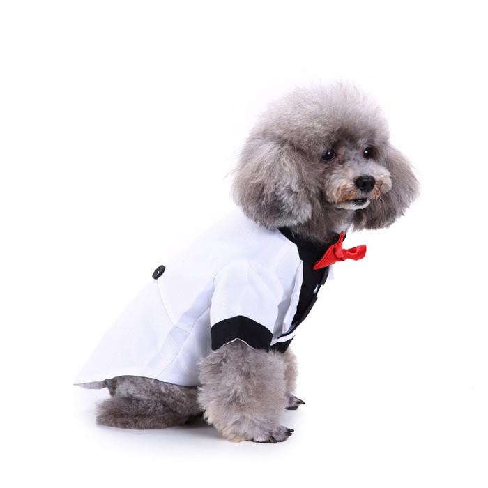 犬服 小型犬用 タキシード フォーマル 結婚式 イベント ブラック 誕生日 大きいサイズ 蝶ネクタイ お散歩 かっこいい Glf04 癒し館 通販 Yahoo ショッピング