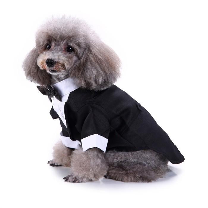 犬服 小型犬用 タキシード フォーマル 結婚式 イベント ブラック 誕生日 大きいサイズ 蝶ネクタイ お散歩 かっこいい Glf04 癒し館 通販 Yahoo ショッピング