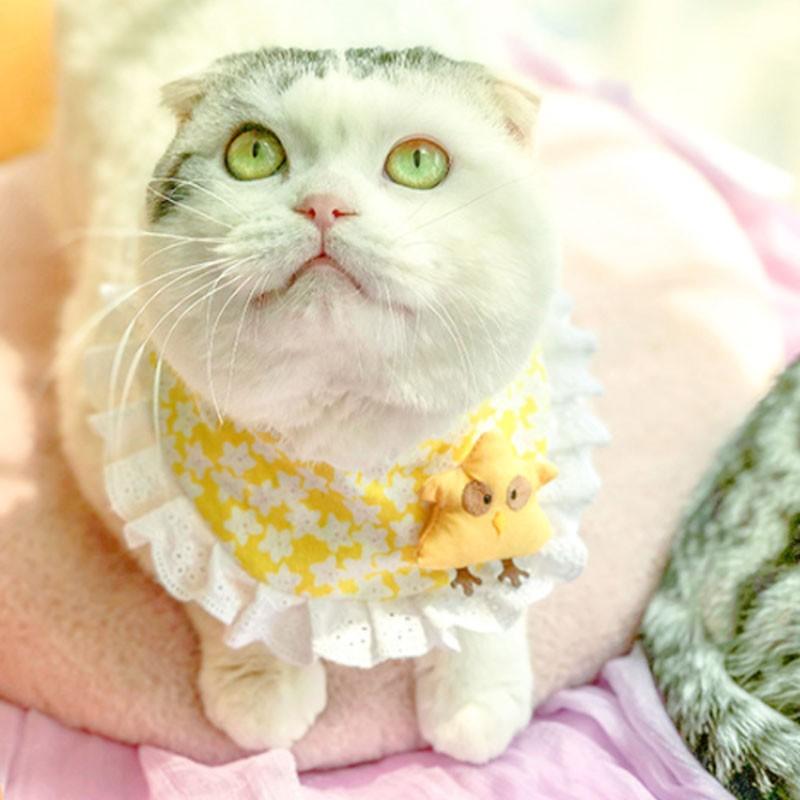 犬 猫 スカーフ ペット用バンダナ マジックテープ 首飾り アクセサリー チェック柄 レー犬用 猫用 おしゃれ 可愛い かわいい K16 癒し館 通販 Yahoo ショッピング