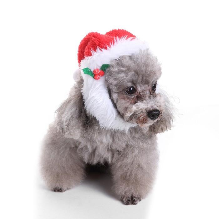 犬用 アクセサリー バンダナ スカーフ マフラー 防寒 コスプレ ペット用品 犬 猫 クリスマス ハロウィン 犬の服 犬 服 ペットウエア 犬用マフラー ドッグウェア Qy05 癒し館 通販 Yahoo ショッピング