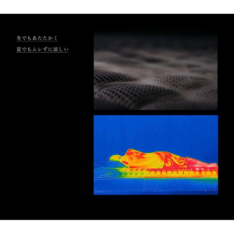 公式ストア限定2年保証】cado(カドー) マットレスギア FOEHN GRASS