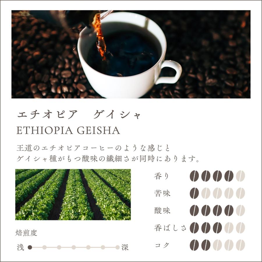 夏ギフト プレゼント お中元 コーヒー豆 ドリップコーヒー 珈琲 2種