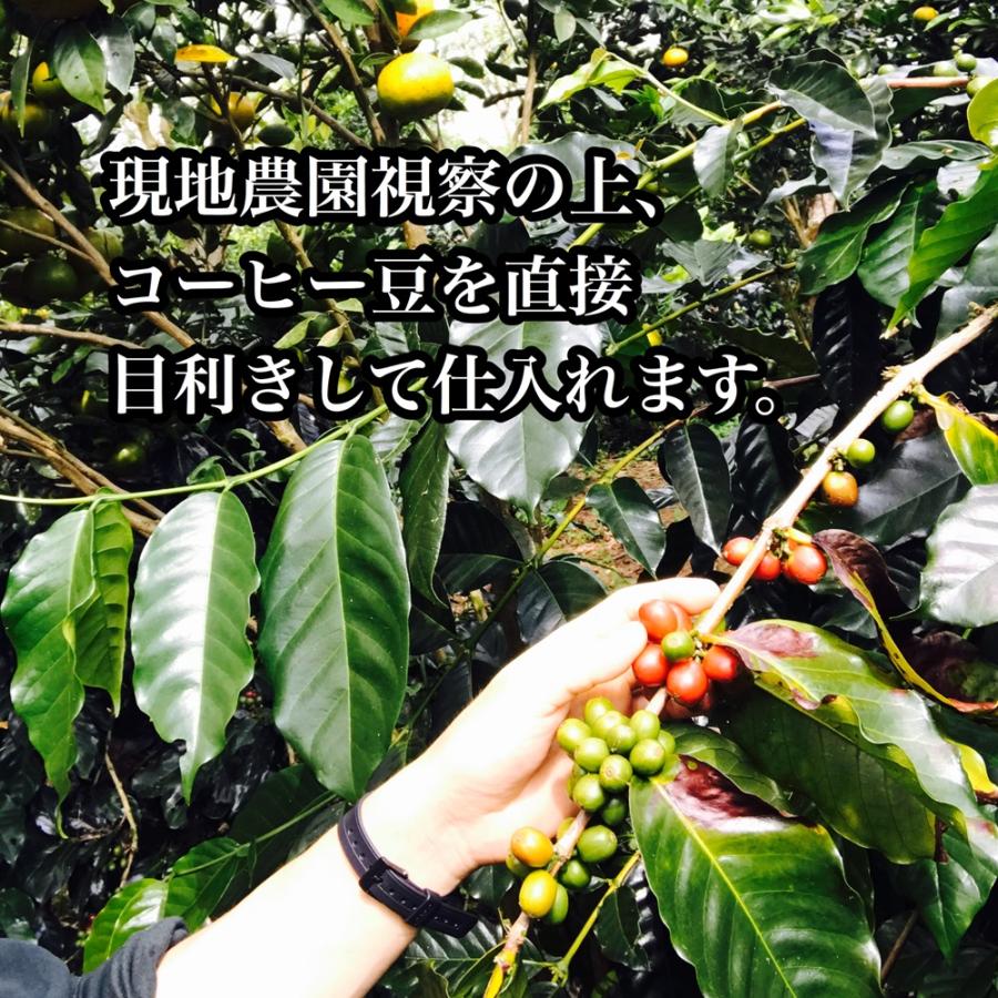 コーヒー豆 珈琲豆 贅沢なプレミアム豆で作った 深煎り アイスコーヒー 1kg｜cafe-adachi｜14