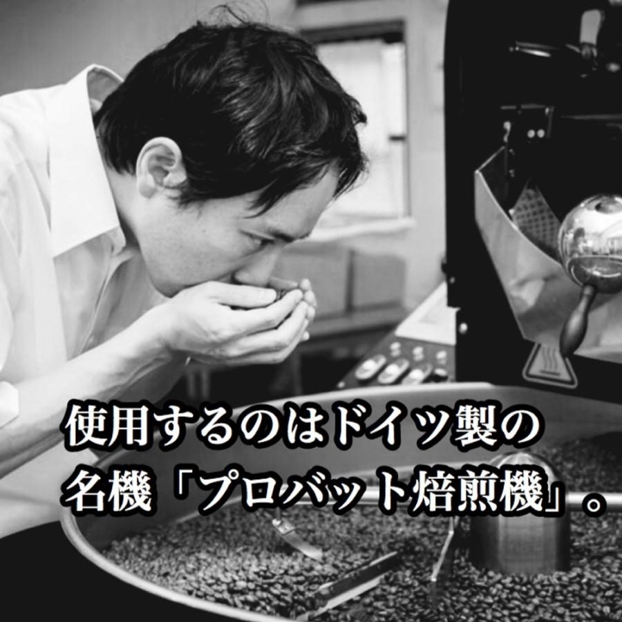コーヒー豆 ドリップコーヒー コーヒー 珈琲豆 タンザニア キリマンジャロ 200g｜cafe-adachi｜16