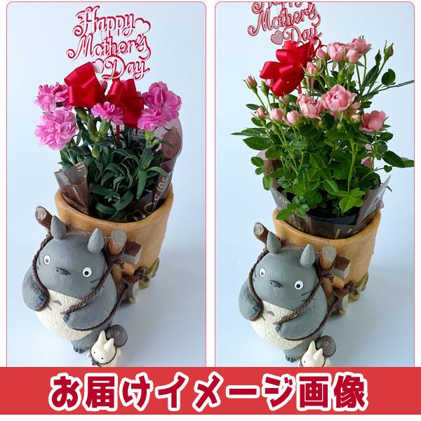 スタジオジブリ 予約商品 となりのトトロ トトロのお届けよいこらしょ