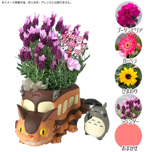 Sale 91 Off 予約商品 となりのトトロ ネコバスとトトロ 母の日生花 アレンジセット22 選べる季節の生花ver 5パターン 選択式 梱包送料込 買い合わせ不可 Heartlandgolfpark Com