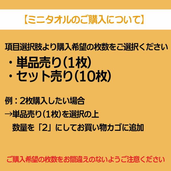 スタジオジブリ メール便OK ジブリ グッズ 耳をすませば ミニタオル