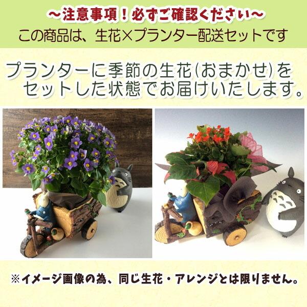 スタジオジブリ 合わせ買い不可 ジブリ グッズ となりのトトロ