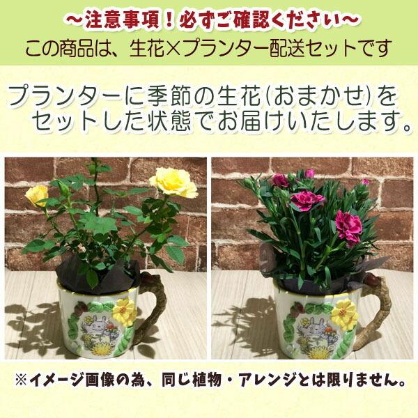 スタジオジブリ 生花 となりのトトロ カップ型プランターカバー トトロ