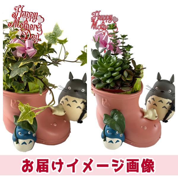 スタジオジブリ 予約商品 となりのトトロ メイの長靴 母の日おまかせ