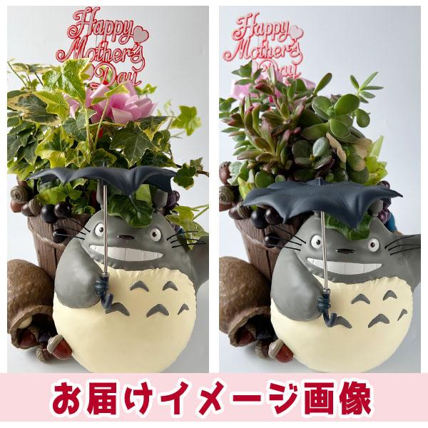スタジオジブリ 予約商品 となりのトトロ どすーん！びっくり！ 母の日