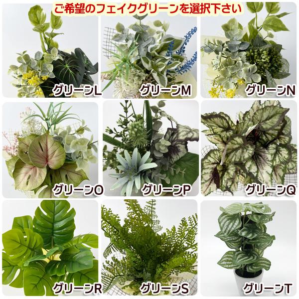 スタジオジブリ となりのトトロ ジオラマボックス＆フェイクグリーン