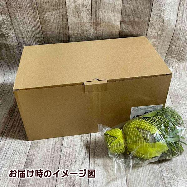 スタジオジブリ となりのトトロ ジオラマボックス＆フェイクグリーン