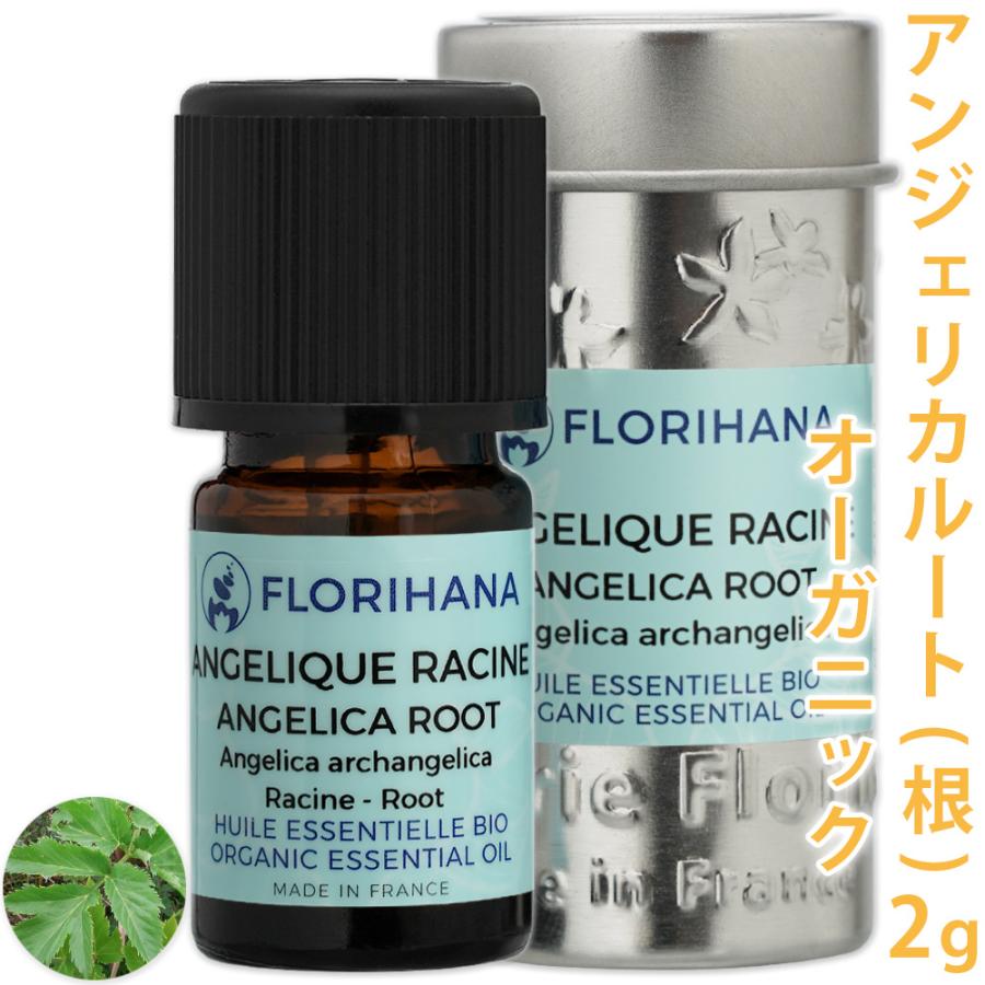 アンジェリカ 根(ルート) オーガニック 2g (フロリハナ アンゼリカ) :d3f150402:カフェ・ド・サボン ヤフー店 - 通販 - Yahoo!ショッピング アンジェリカ 根(ルート) オーガニック 2g (フロリハナ アンゼリカ) :d3f150402:カフェ・ド・サボン ヤフー店 - 通販 - Yahoo!ショッピング
