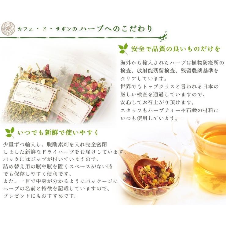 オレガノ ( 10g単位 ハーブ量り売り ) (ハナハッカ) (ポストお届け可/9)(2007h)|cafe-de-savon|03