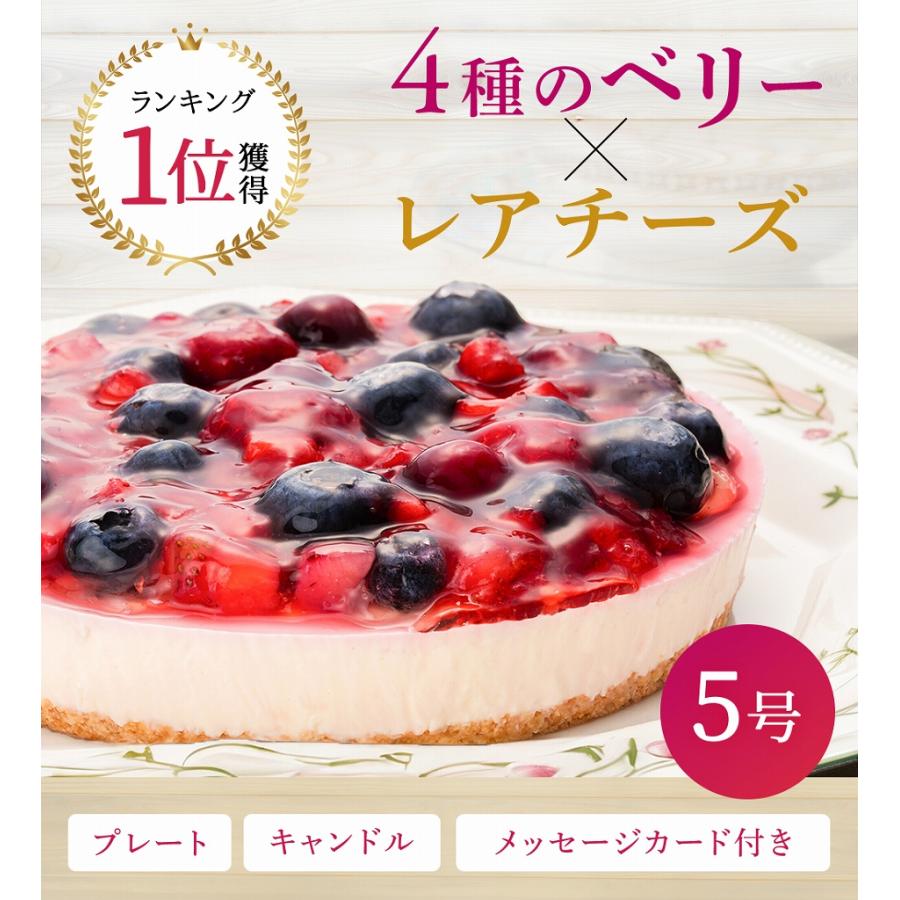 お得5㎏パック　ブルーベリーチーズケーキ　ステンレスシェーカー付き！ 4種のベリーチーズケーキ 5号(ローソク・プレート・メッセージカード