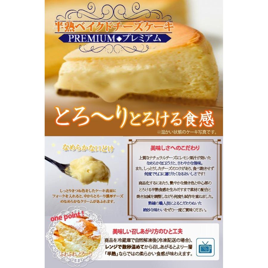 お試し チーズケーキ カットサイズ6個セット(送料無料 ケーキ アソートケーキ 父の日 お中元 ギフト プレゼント スイーツ 訳あり cake)｜cafe-enishida｜10