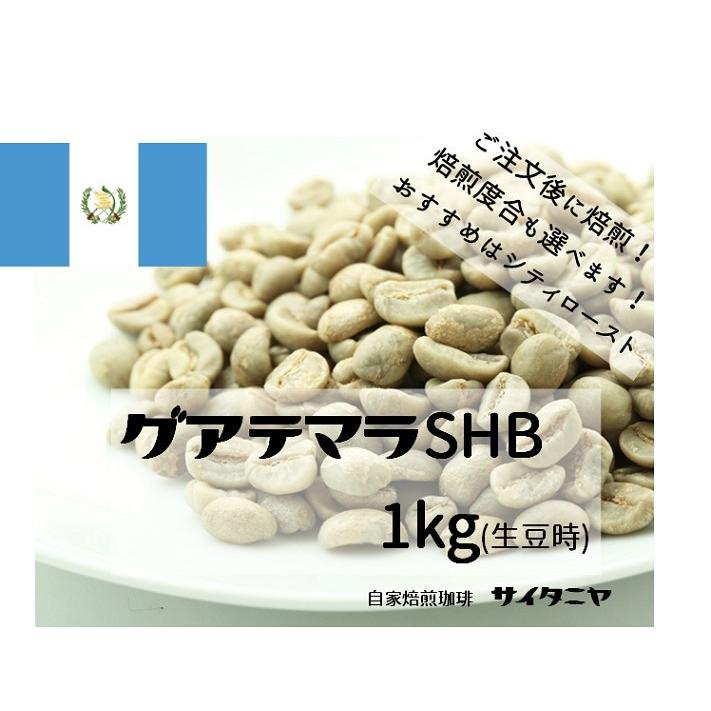人気満点 グアテマラ SHB 自家焙煎 手網焙煎 ていねい おいしい コスパ グアテマラ SHB 自家焙煎 手網焙煎 ていねい おいしい コスパ