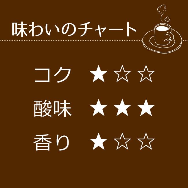 コーヒー コーヒー豆 粉 アメリカン500g |  | 05