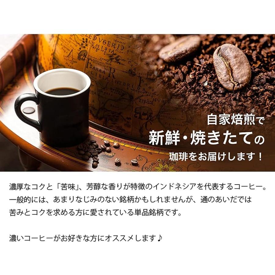 コーヒー コーヒー豆 粉 マンデリン500g｜cafe｜07