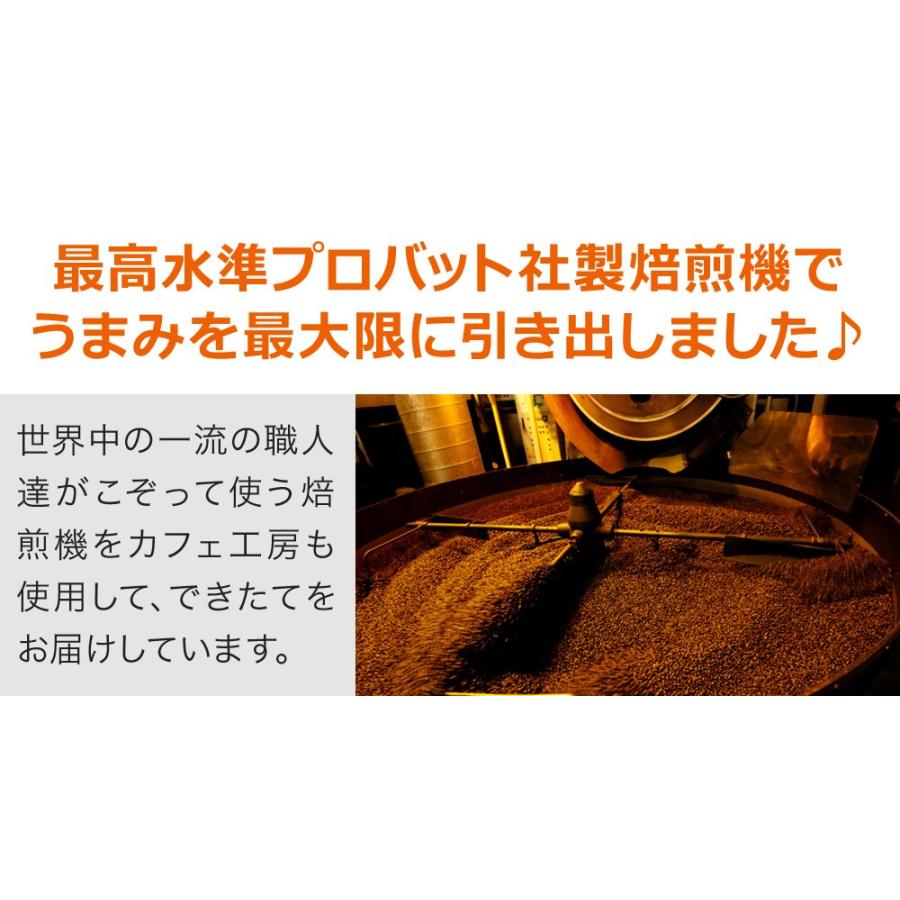 (特売) コーヒー ドリップコーヒー ブルーマウンテンブレンド 200袋 コーヒー通販カフェ工房 |  | 07