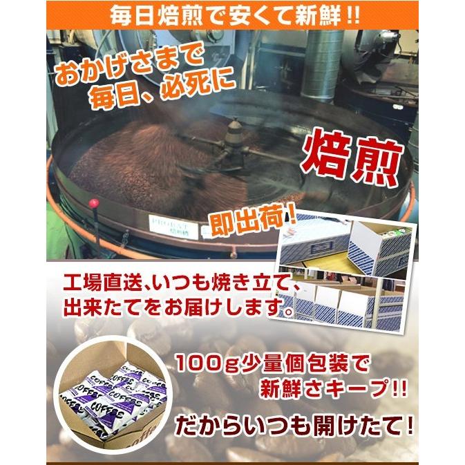 コーヒー コーヒー粉 とくとくセットM(ヨーロピアンブレンド100g×32袋) |  | 03