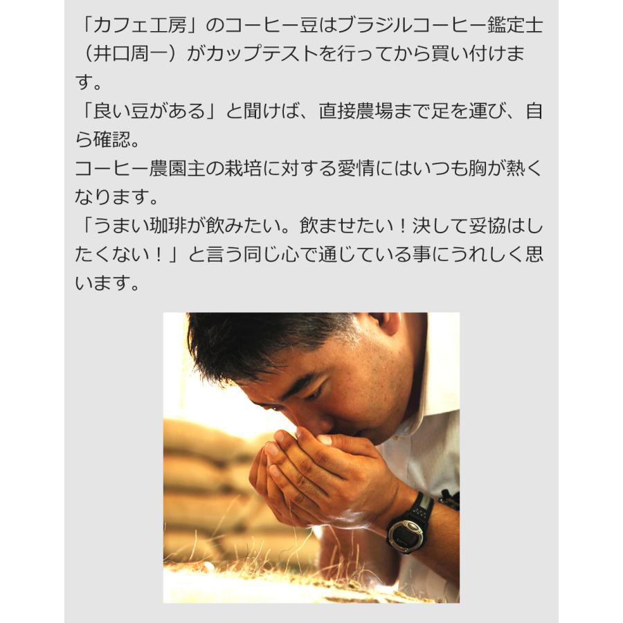 (特売)コーヒー コーヒー豆 粉 ブルーマウンテンブレンド500ｇ×2個 |  | 06