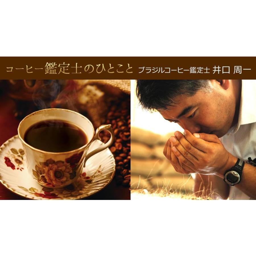 コーヒー コーヒー豆 粉 高級レギュラーコーヒー8種セット2kg |  | 03