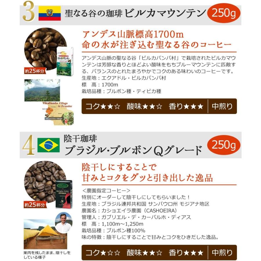 コーヒー コーヒー豆 粉 高級レギュラーコーヒー8種セット2kg |  | 05