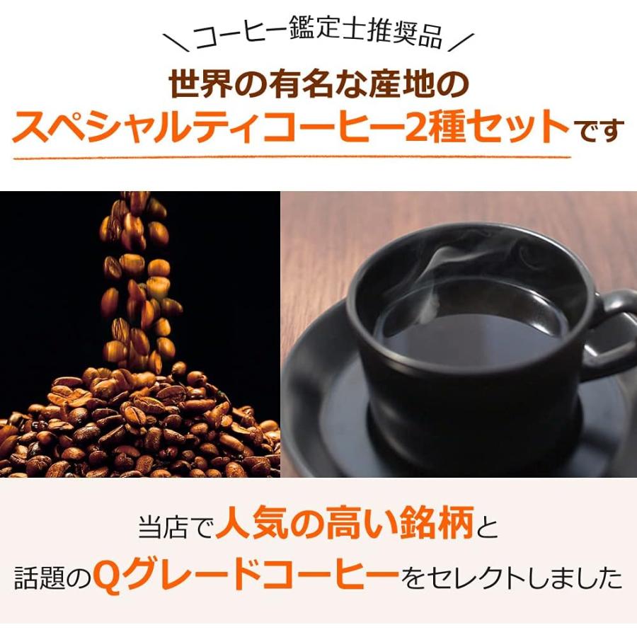 (福袋)コーヒー コーヒー豆 粉 お試し2種セット 250g×2種 |  | 07