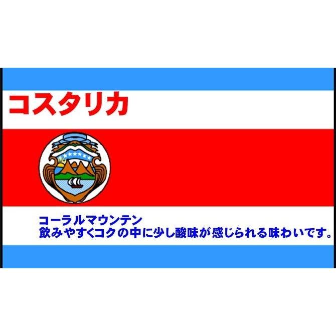 コスタリカ (100g) 自家焙煎 コーヒー 珈琲 コーヒー豆 スペシャリティ 香り おいしい 美味しい | 
