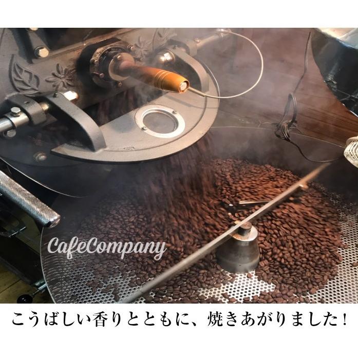 アイス コーヒー 無糖 無添加 ギフト 6本 セット｜cafecom6100｜09