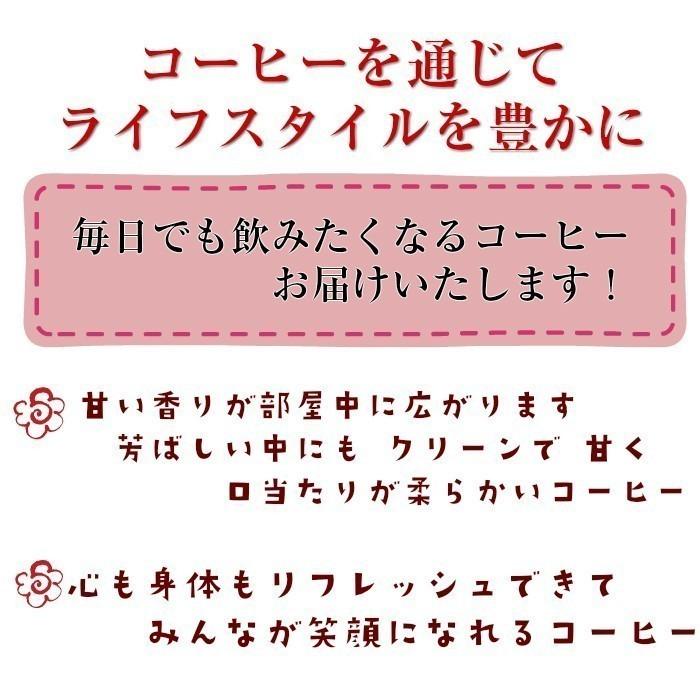 コーヒー ギフト おしゃれ ドリップコーヒー5p 紅茶2p ロータスビスケット 人気 送料無料 敬老の日 G 111 自家焙煎珈琲 カフェカンパニー 通販 Yahoo ショッピング