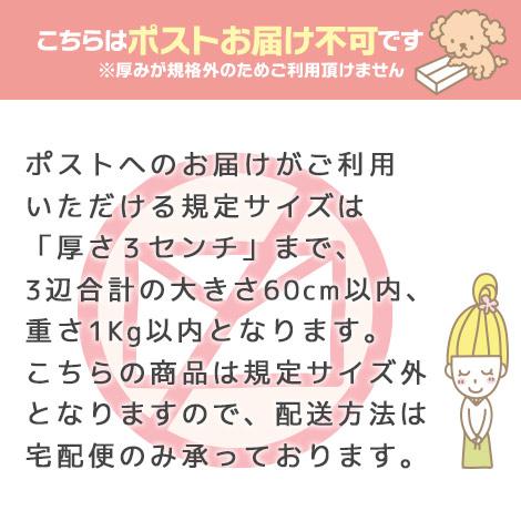 Cafe de Savon（カフェ・ド・サボン） 手作り石鹸用アクリルモールド