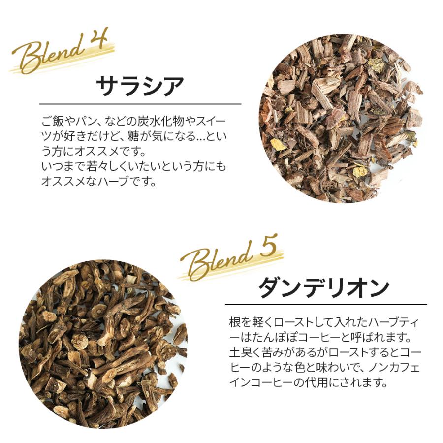 ホット＆スリム 100g （オリジナルブレンドハーブティー）（ ハーブ
